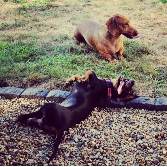 POSITIVE VIBES ONLY - Picture 3 of 5